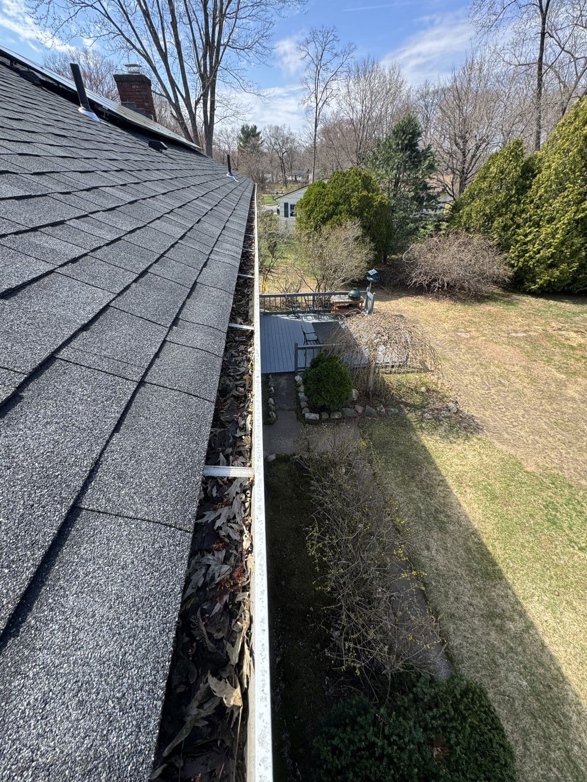 Cheshire: Accumulated leaves along the Cheshire backyard gutter.