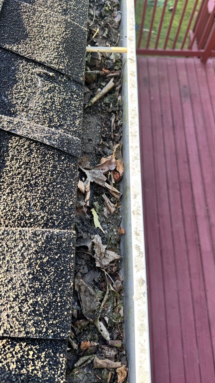 Oakville: Leaves and twigs packed into the gutter above the red deck.