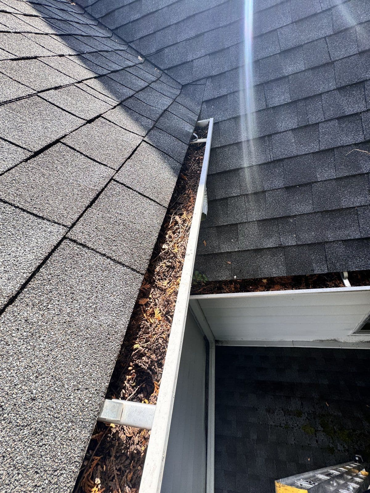 Oxford: Leaves and fine plant debris collected in the inner-corner gutter.