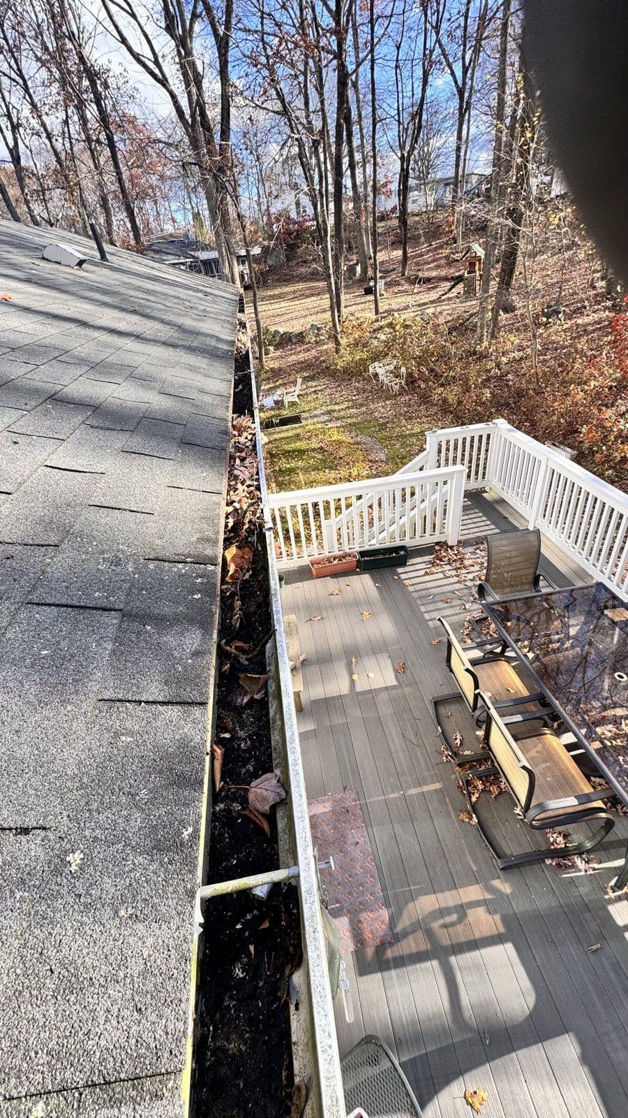 Prospect: Autumn leaves filling the gutter above the white-railed deck.
