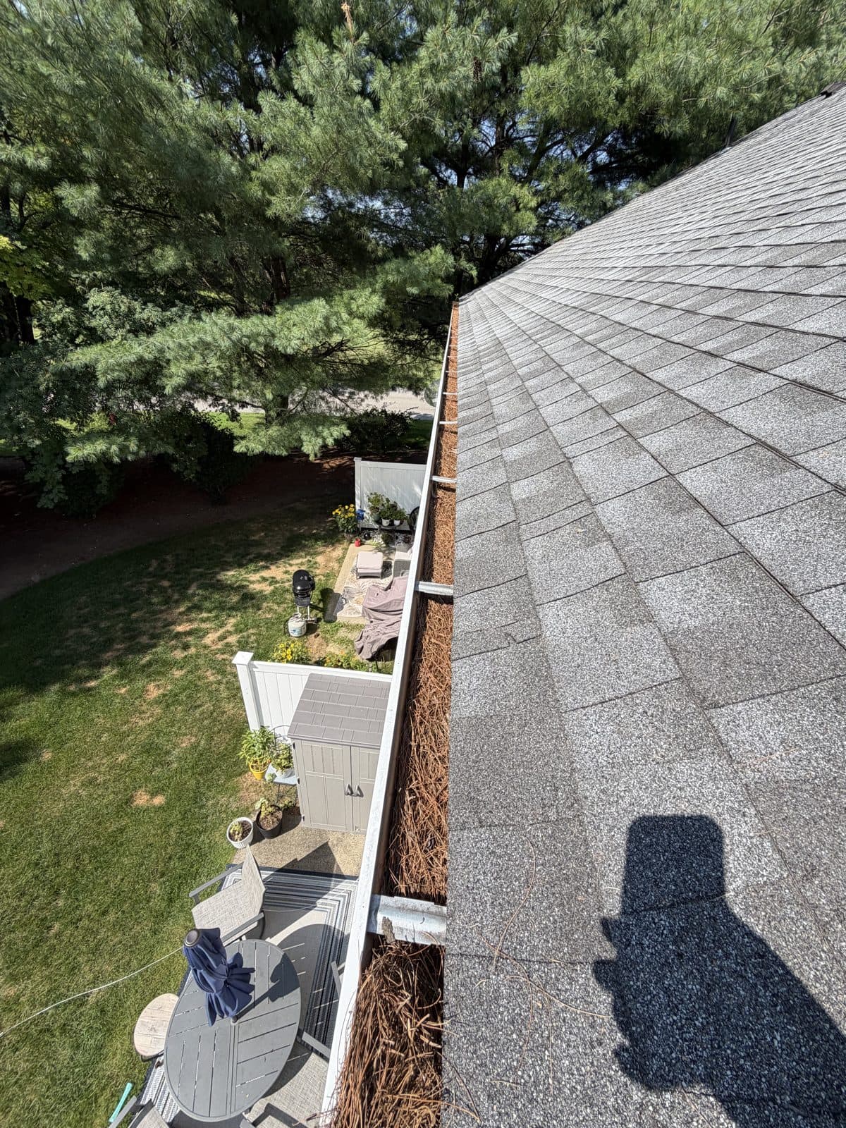 Dense pine-needle buildup in a patio-side gutter at a Torrington home before cleaning.