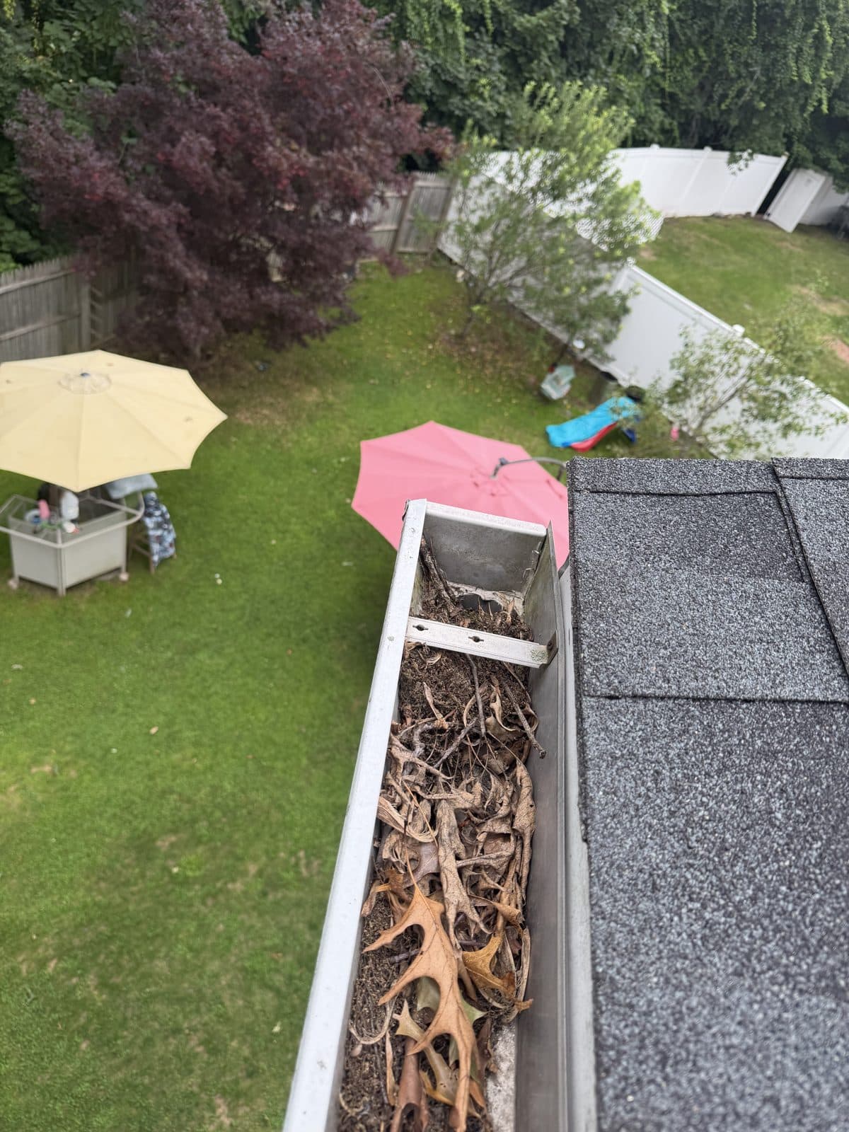 Leaves accumulated at a gutter end before cleaning in Waterbury, Connecticut.