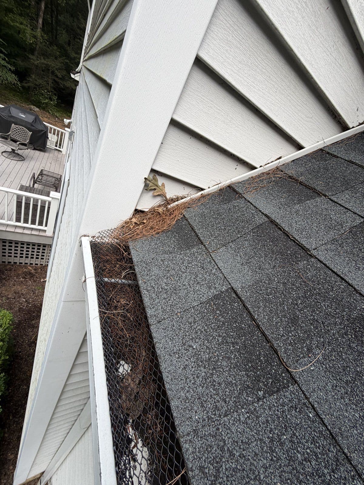 Woodbury: Pine needles and leaves covering the existing screen beside the siding.